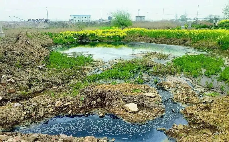 黑龍江省2024年農(nóng)村生活污水、黑臭水體治理工作方案出爐！